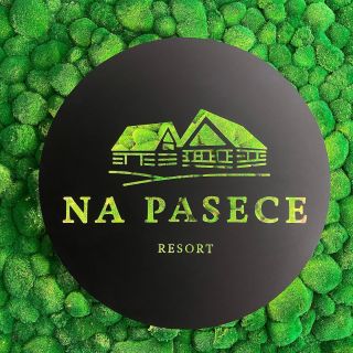 🟢🟢🟢 Mechová stěna s logem podsvíceným led páskem🔝. Realizace mechové stěny v nově vznikajícím resortu @resort_na_pasece...