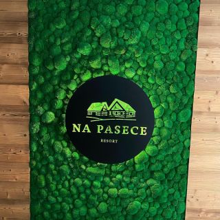 🟢🟢🟢 Mechová stěna s logem podsvíceným led páskem🔝. Realizace mechové stěny v nově vznikajícím resortu @resort_na_pasece...