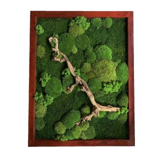 🟢🟢🟢 Mechový obraz Vám můžeme vyrobit se 🪵 dřevinou v podobě vinné révy. No nevypadá to nádherně 😊? 📲 +420 734 502 908 📧...